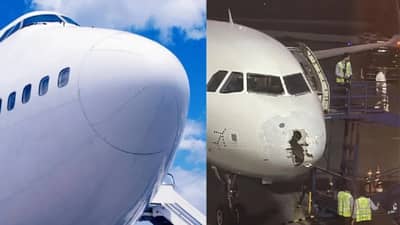 विमानाचं नाक म्हणजे काय? जे तुटल्यावर संपूर्ण फ्लाइट हादरते!