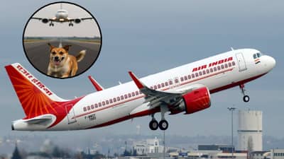 Air India : विमानतळ दिसतंय, तरीही विमानाच्या हवेतच तासभर घिरट्या, कारण ऐकताच तुम्ही माराल डोक्यावर हात