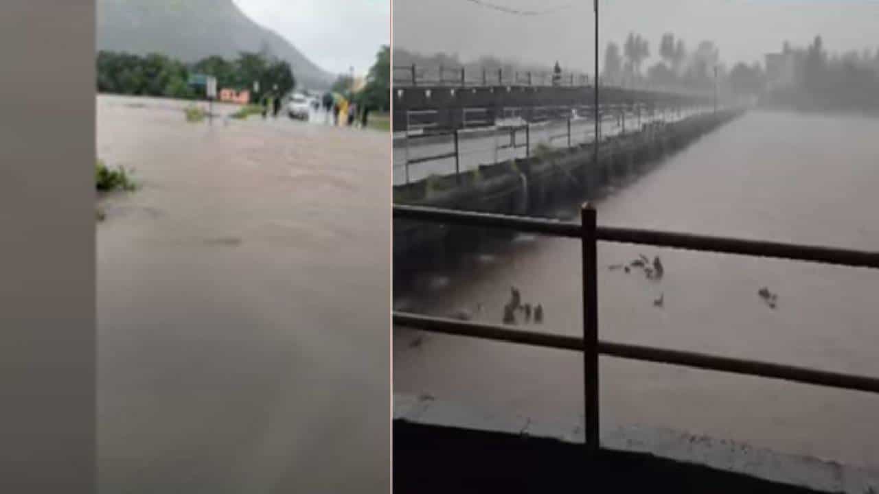 Rain Updates : पावसाचा जोर वाढला, रायगडला रेड अलर्ट, शाळा कॉलेजेसना सुट्टी जाहीर