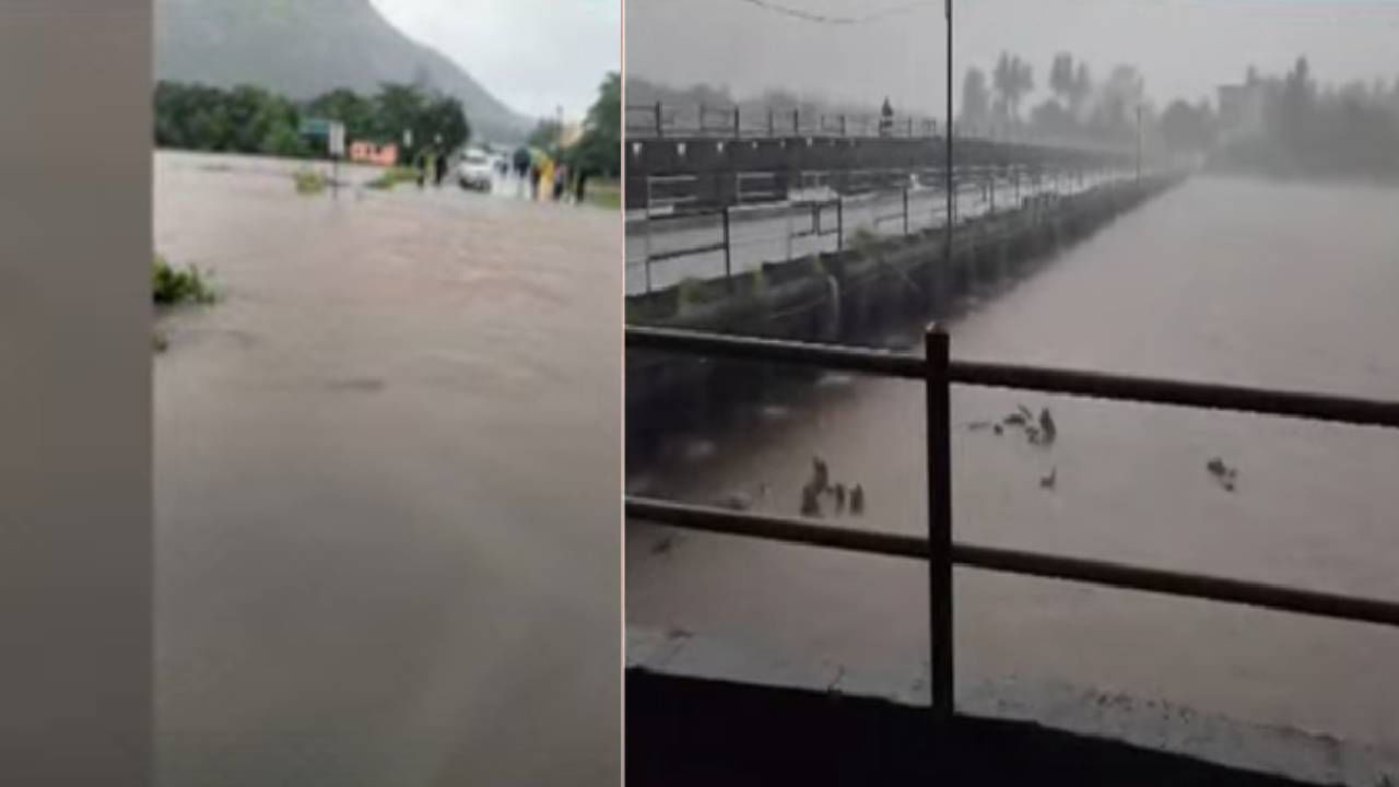 Rain Updates : पावसाचा जोर वाढला, रायगडला रेड अलर्ट, शाळा कॉलेजेसना सुट्टी जाहीर