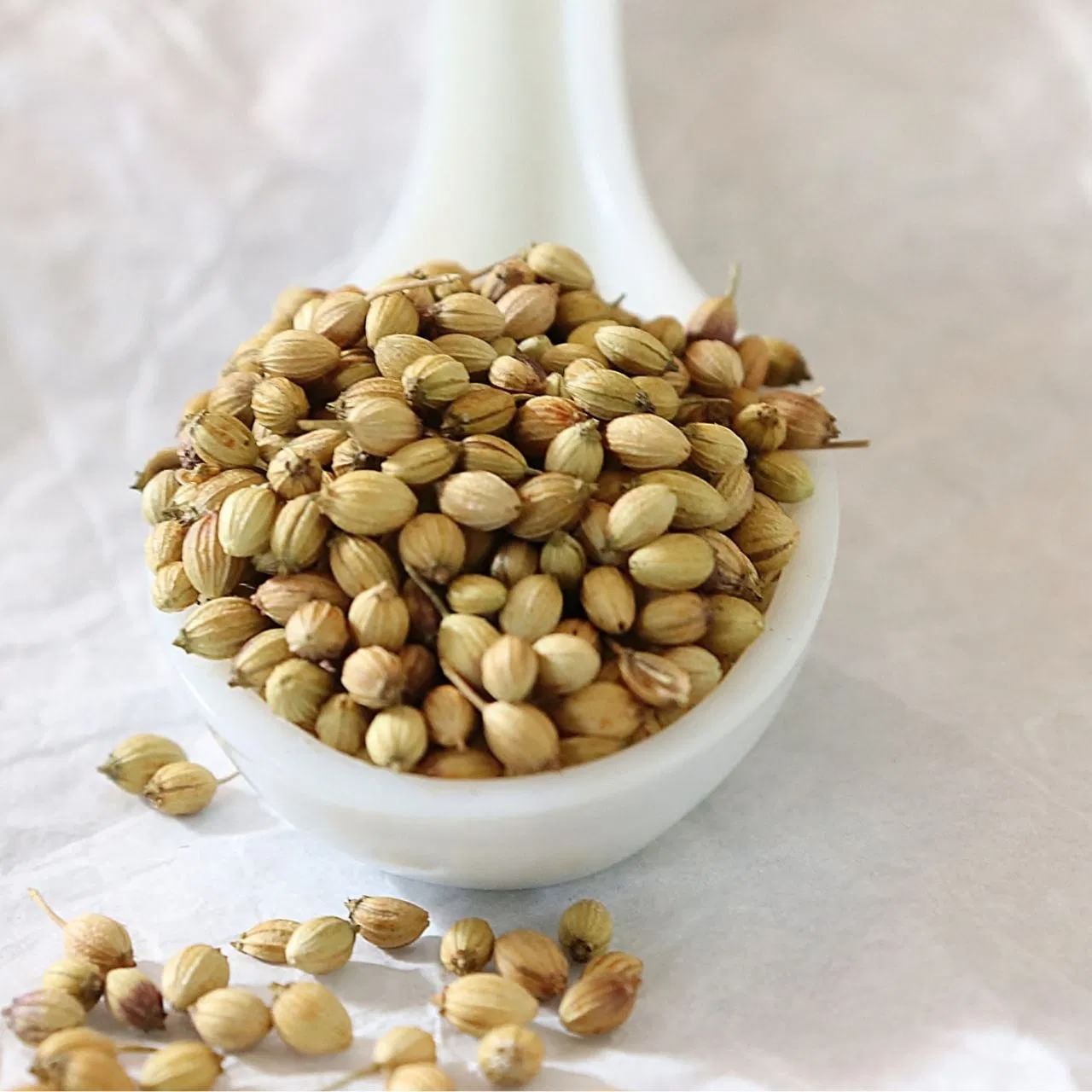 धणे थंड असतात. यामुळे पचन सुधारते. यामुळे देखील पोटाच्या समस्यांपासून आराम मिळतो. यासाठी तुम्ही फक्त 1 चमचा धणे रात्रभर पाण्यात भिजवून ठेवा आणि सकाळी गाळून रिकाम्या पोटी त्याचे सेवन करा.