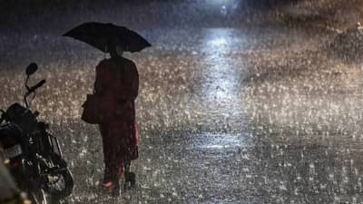 IMD Rain Update : शेतकऱ्यांची चिंता वाढली, हवामान विभागाचं मोठं भाकित, आता पाऊस....
