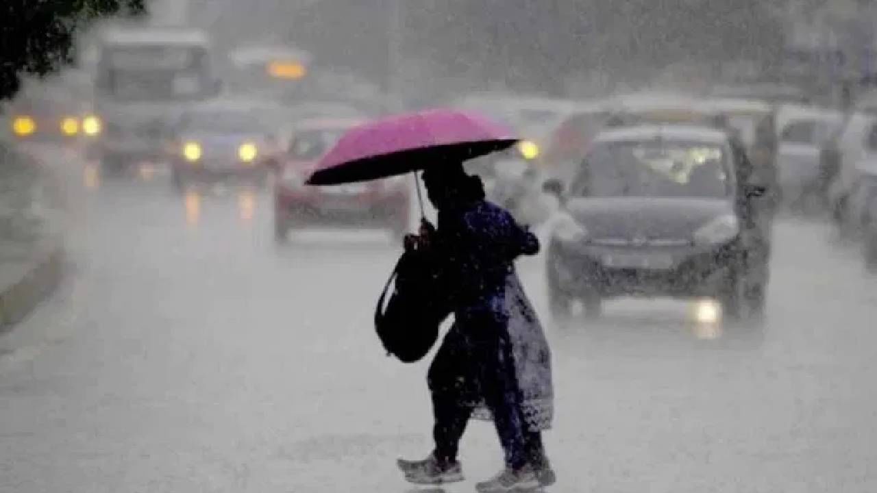 या काळात शेतकऱ्यांनी पेरणीसाठी घाई करू नये, असेही सांगण्यात आले आहे. त्यामुळे आता विदर्भातील शेतकऱ्यांना पावसाची वाट पहावी लागणार आहे.