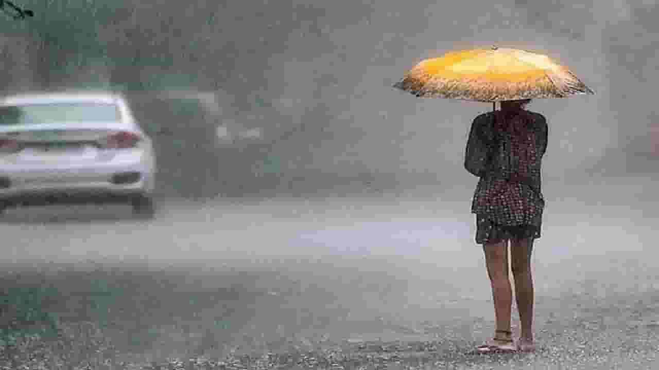 Maharashtra Weather : विश्रांती घेतलेला पाऊस पुन्हा झोडपणार, हवामान खात्यानं दिला 'या' जिल्ह्यांना अलर्ट Maharashtra Weather : विश्रांती घेतलेला पाऊस पुन्हा झोडपणार, हवामान खात्यानं दिला 'या' जिल्ह्यांना अलर्ट