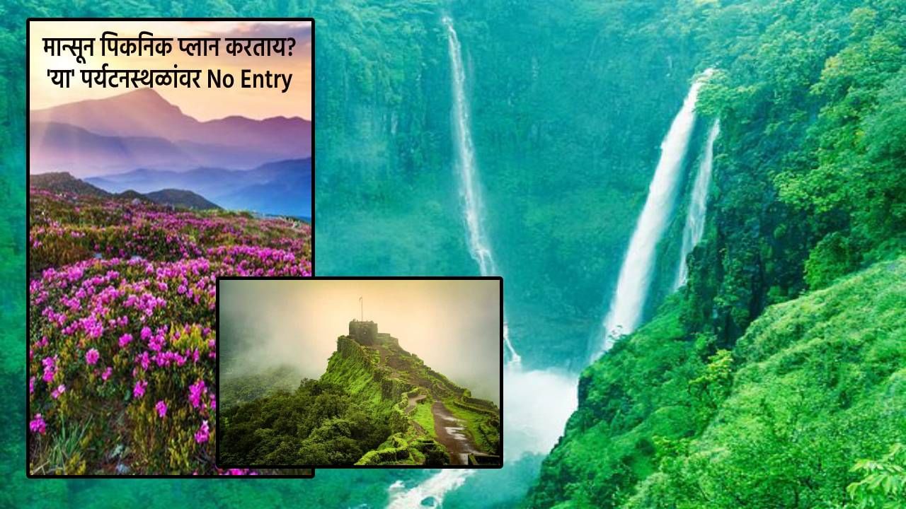 Maharatra Rain : तुम्ही मान्सून पिकनिक प्लान करताय? 'या' पर्यटनस्थळांवर 2 महिने No Entry, कारण...