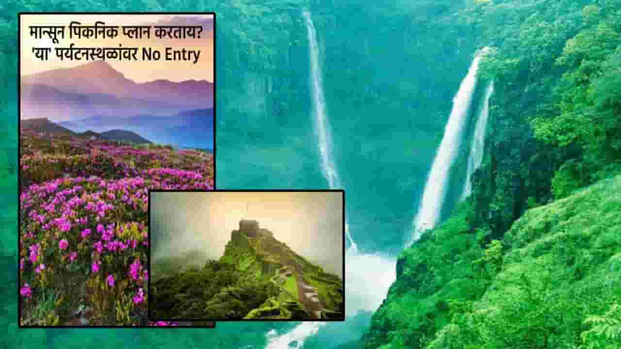 Maharatra Rain : तुम्ही मान्सून पिकनिक प्लान करताय? 'या' पर्यटनस्थळांवर 2 महिने No Entry, कारण... Maharatra Rain : तुम्ही मान्सून पिकनिक प्लान करताय? 'या' पर्यटनस्थळांवर 2 महिने No Entry, कारण...