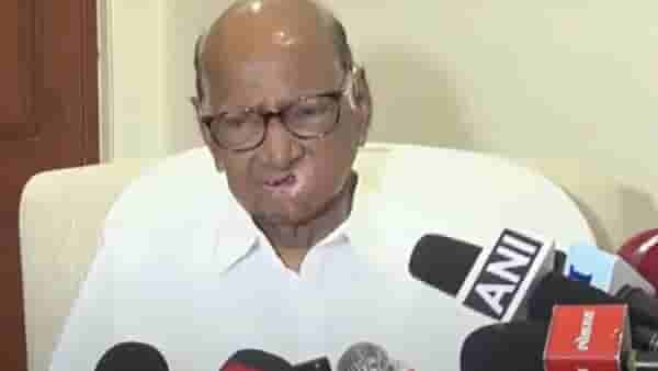मोठी बातमी! ठाकरे बंधूंच्या मोर्चाला शरद पवारांचा जाहीर पाठिंबा, कार्यकर्त्यांना काय केलं आवाहन?