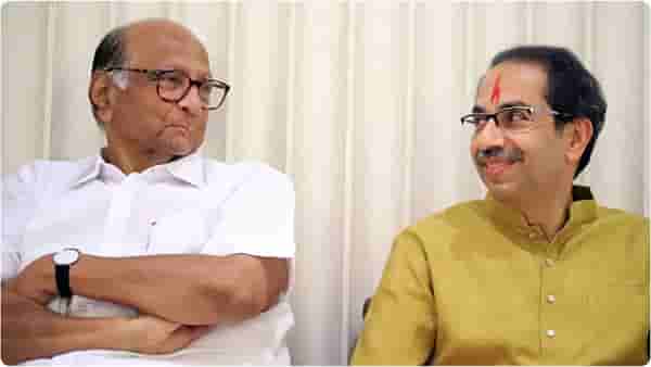 मुंबई महापालिका निवडणुकांबद्दल शरद पवारांचे मोठे विधान, म्हणाले आमच्यापेक्षा उद्धव ठाकरे...