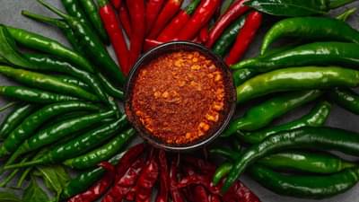 जगातील सर्वात तिखट मिरची कोणती? कदाचित तुम्हाला माहितीही नसेल