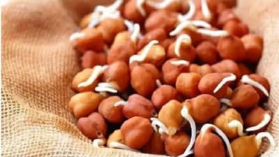 काळे चणे कोणत्या प्रकारे खाणे जास्त फायदेशीर आहे? जाणून घ्या तज्ञांचे मत