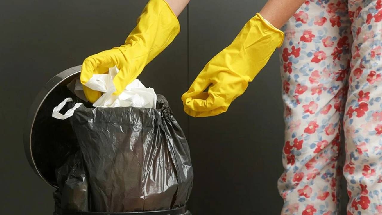 कचराकुंडीत दुर्गंधी येतेय? ‘ही’ छोटी युक्ती वापरा अन् मिळवा मोठा फायदा