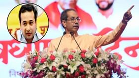 उंची पेंग्विनची जीव केवढा? अन् डोळे... ठाकरेंची नितेश राणेंवर टीका उंची पेंग्विनची जीव केवढा? अन् डोळे... ठाकरेंची नितेश राणेंवर टीका