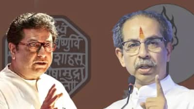 दिवसभर इंग्रजी बोलतात, रात्री इंग्रजी पितात, भाजपा आमदाराचं विधान, ठाकरे बंधूंवर बोलताना काय म्हणाले?