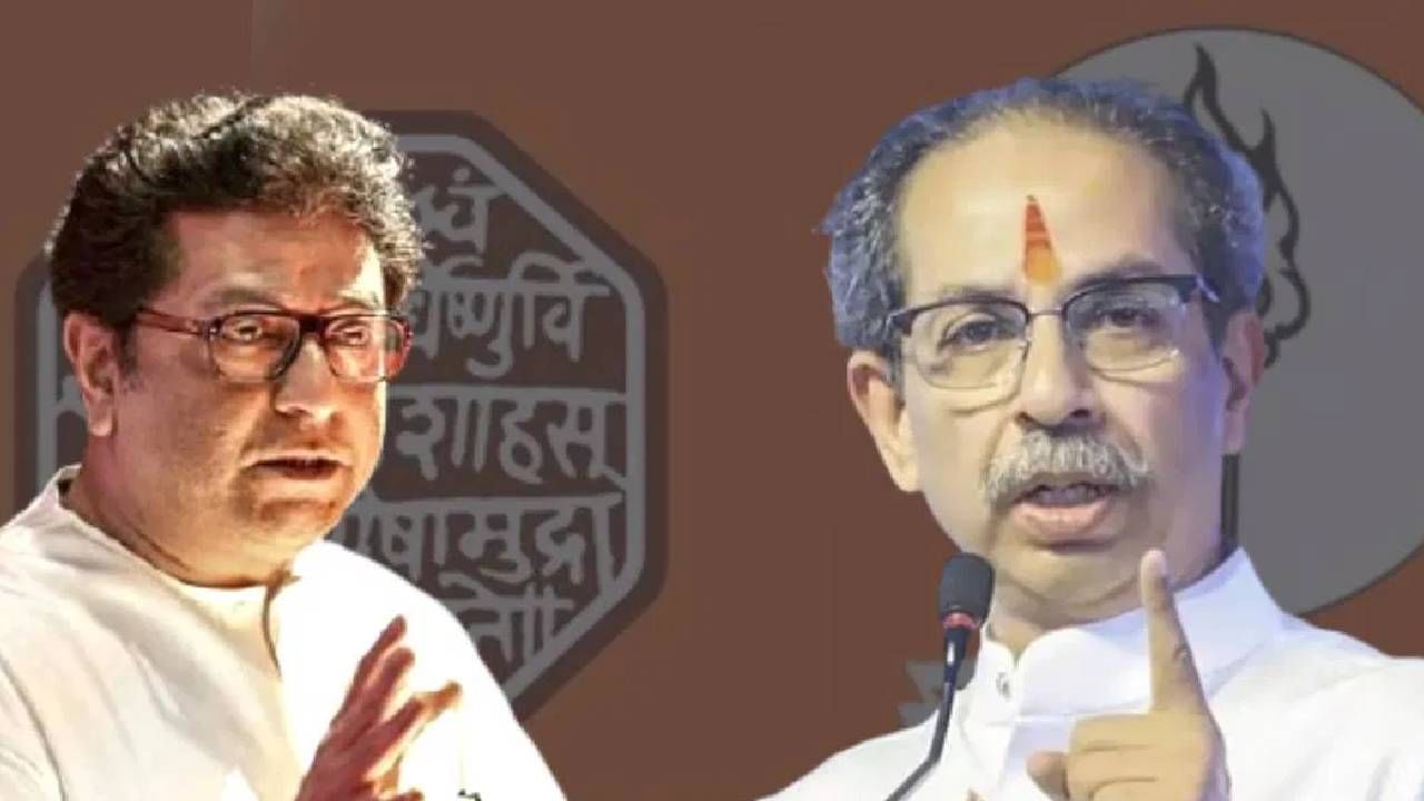 दिवसभर इंग्रजी बोलतात, रात्री इंग्रजी पितात, भाजपा आमदाराचं विधान, ठाकरे बंधूंवर बोलताना काय म्हणाले?