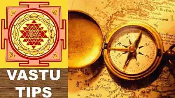 घरातील सदस्य वारंवार आजारी पडतात? वास्तूच्या या चुका त्वरीत टाळा....