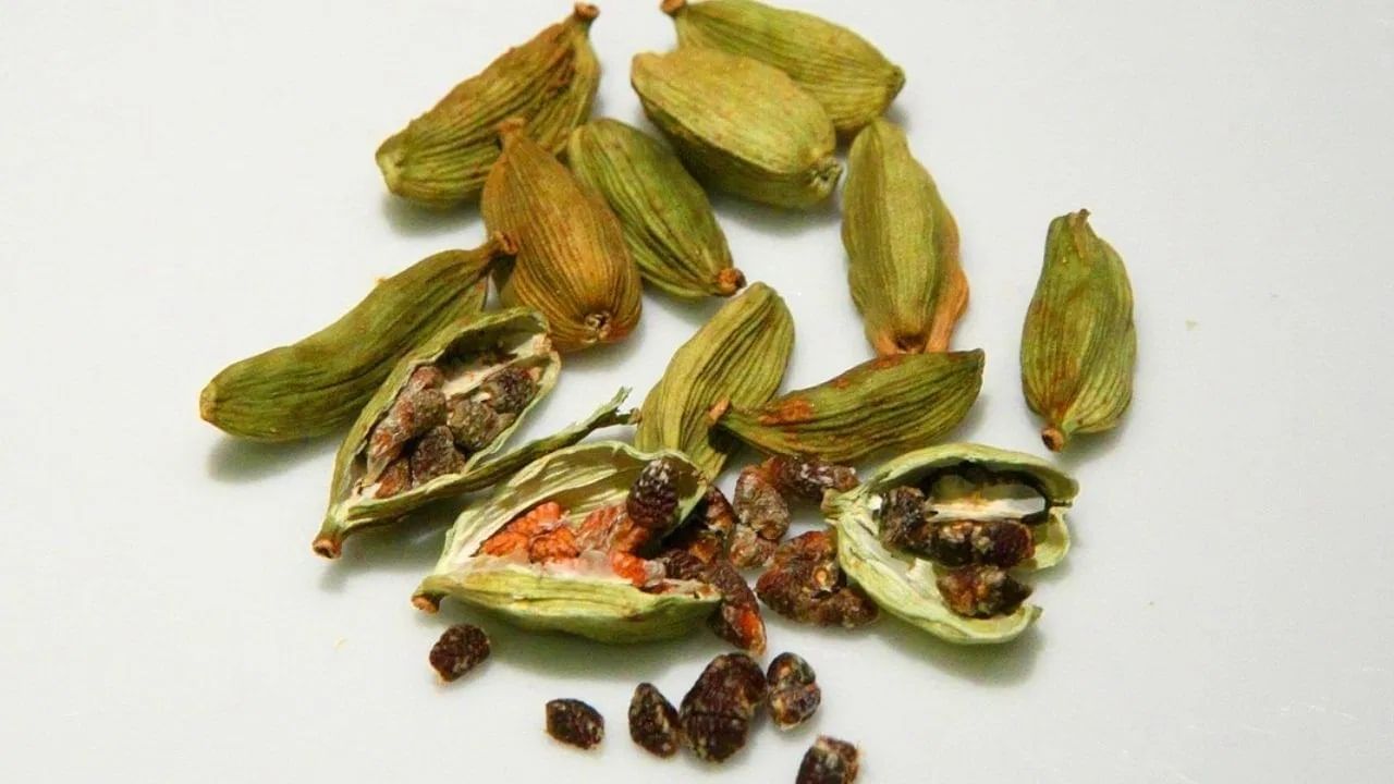 वेलची लागवड करणे इतके सोपे नाही. त्यासाठी विशिष्ट प्रकारचे हवामान आणि माती आवश्यक असते. यासोबतच, लागवडीसाठी अनेक प्रकारच्या तंत्रांचा वापर केला जातो. यामुळेच देशातील काही निवडक राज्यांमध्ये वेलची लागवड केली जाते. यामध्ये केरळ, सिक्कीम, नागालँड, अरुणाचल प्रदेश आणि कर्नाटक यांचा समावेश आहे.  