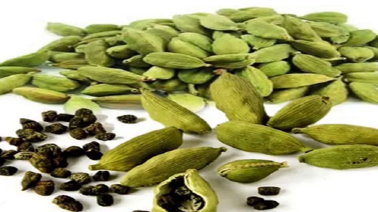 देशातील बहुतेक वेलची केरळमध्ये पिकवली जाते. भारतात पिकवल्या जाणाऱ्या एकूण वेलचीपैकी ५० टक्के केरळमधून येते. याचे कारण म्हणजे येथील तापमान १० ते ३५ अंशांच्या दरम्यान राहते. येथील माती खूप सुपीक आहे. हे दोन्ही गुण वेलची लागवडीसाठी योग्य मानले जातात. यामुळेच जगभरात भारतीय वेलचीच्या निर्यातीत केरळची विशेष भूमिका आहे.  