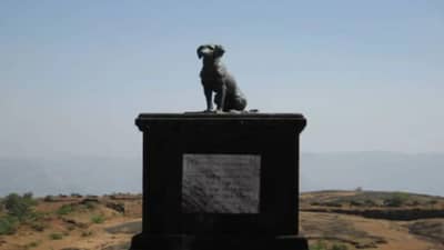 रायगड किल्ल्यावरील वाघ्या कुत्र्याच्या समाधीला कडक सुरक्षा, लावले बॅरिकेट्स; कारण काय?