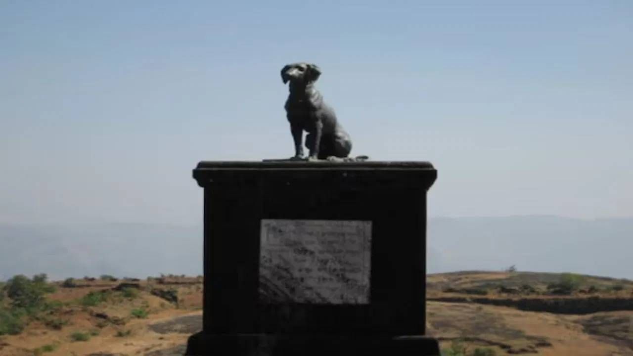 रायगड किल्ल्यावरील वाघ्या कुत्र्याच्या समाधीला कडक सुरक्षा, लावले बॅरिकेट्स; कारण काय? रायगड किल्ल्यावरील वाघ्या कुत्र्याच्या समाधीला कडक सुरक्षा, लावले बॅरिकेट्स; कारण काय?