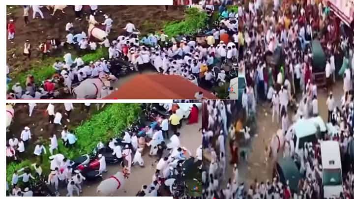 Wari 2025 : संत ज्ञानेश्वर महाराजांच्या पालखी सोहळ्यात उधळला बैल, वारकऱ्यांची धावपळ अन्... बघा काय घडलं? Wari 2025 : संत ज्ञानेश्वर महाराजांच्या पालखी सोहळ्यात उधळला बैल, वारकऱ्यांची धावपळ अन्... बघा काय घडलं?