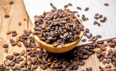 कलिंगडाच्या बियांमध्ये दडला आहे खजिना! पण नेमक्या कशा पद्धतीने खाव्यात ? जाणून घ्या