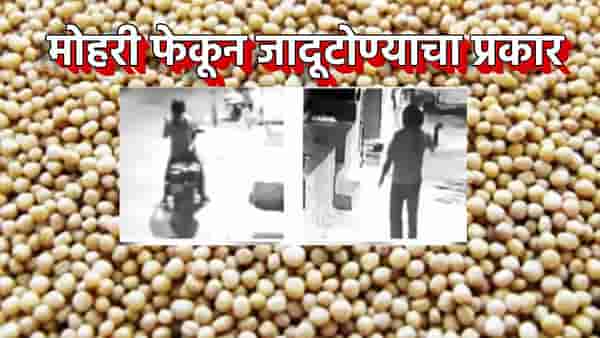 राज्यात चाललंय तरी काय? मोहरी टाकून वृद्धाच्या घरासमोर जादूटोण्याचा प्रकार; छत्रपती संभाजीनगरमध्ये एकच खळबळ
