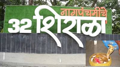 32 शिराळ्यात आता पुन्हा दिसणार नाग, सरकारचा मोठा निर्णय