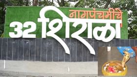 32 शिराळ्यात आता पुन्हा दिसणार नाग, सरकारचा मोठा निर्णय 32 शिराळ्यात आता पुन्हा दिसणार नाग, सरकारचा मोठा निर्णय