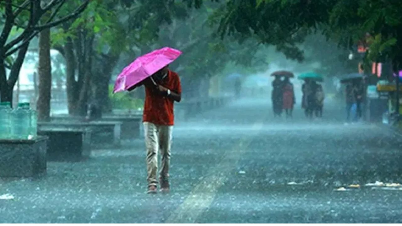 विदर्भातही पावसाचा इशारा देण्यात आला आहे, विदर्भात पुढील काही तासांमध्ये पावसाचा जोर वाढण्याची शक्यता असून, भंडारा, गोंदिया आणि नागपूर या जिल्ह्यांमध्ये वादळी वाऱ्यासह पावसाची शक्यता आहे.