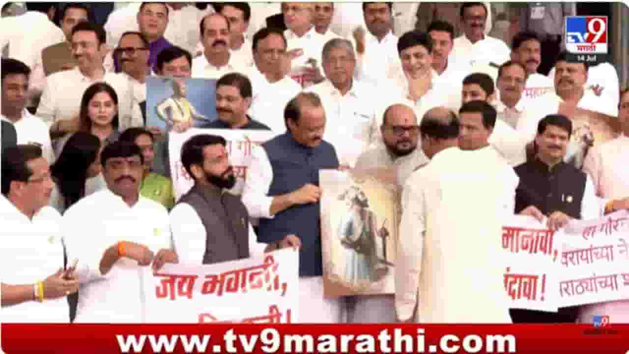 Mahayuti News : विधानभवनाच्या पायऱ्यांवर सत्ताधाऱ्यांचा जल्लोष; खुद्द अजितदादांनी दिल्या विजयोत्सवाच्या घोषणा