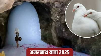 हा चमत्कार नाही तर काय? अमरनाथमधील फक्त या गुफेतच दिसतो एक कबुतराचा जोडा, अमर पक्षी का म्हटलं जातं?; काय आहे रहस्य?