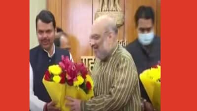 मोठी बातमी! फडणवीसांनी घेतली अमित शाहांची भेट; त्या मंत्र्यांची पडणार विकेट? घडामोडींना वेग