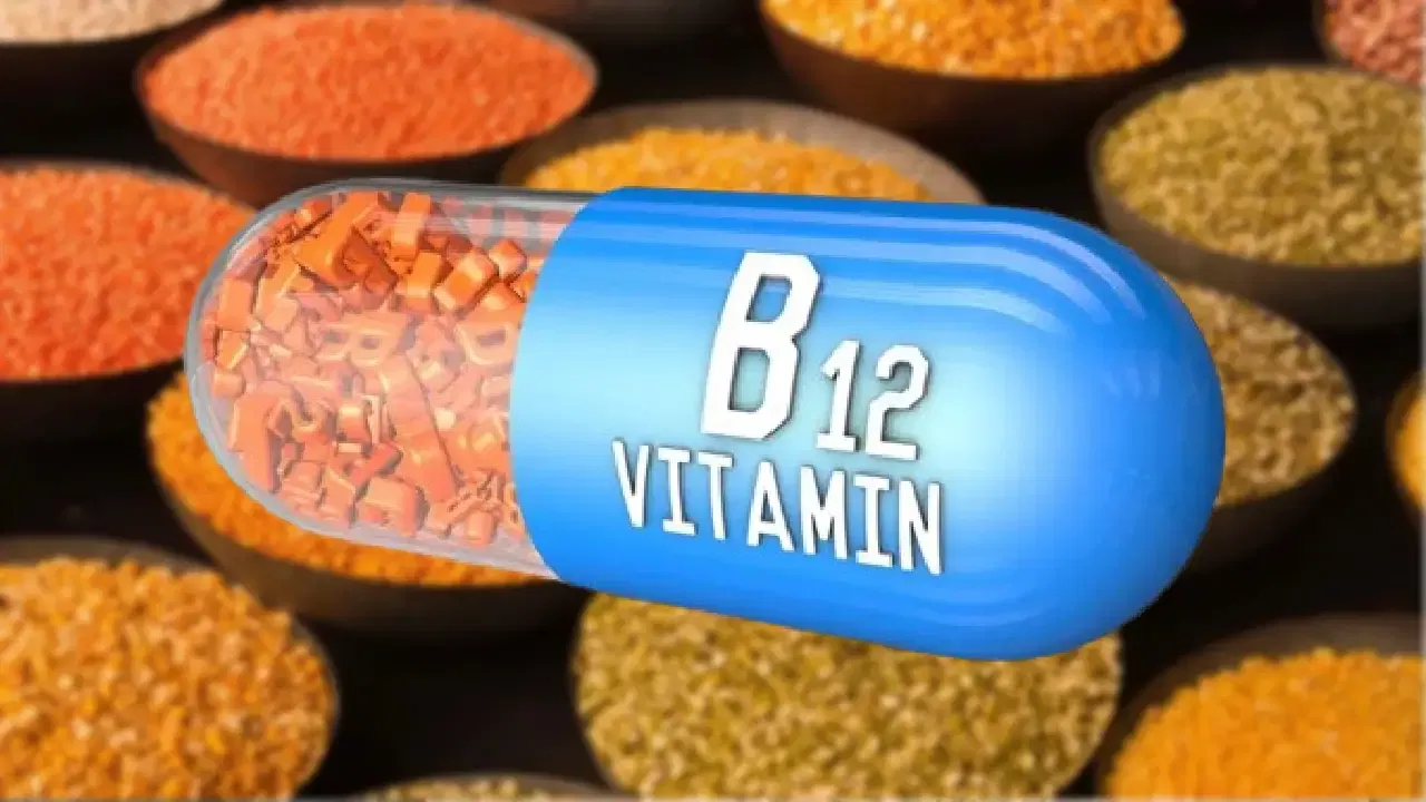 B12 चा खजिना आहे ही डाळ! आजपासूनच खायला सुरुवात करा, कधीच कमी होणार नाही व्हिटॅमिन बी12 B12 चा खजिना आहे ही डाळ! आजपासूनच खायला सुरुवात करा, कधीच कमी होणार नाही व्हिटॅमिन बी12