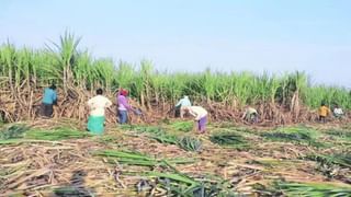 Nagpur News : मोठा हॉल अन् पडदे टाकून बनवलेल्या वर्गखोल्या; नागपुरात विद्यार्थ्यांचे भवितव्य टांगणीला