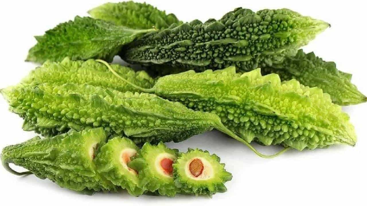 पावसाळ्यात कारलं खाण्याचे फायदे तुम्हाला माहिती आहे का?