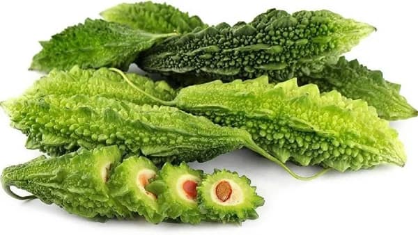 पावसाळ्यात कारलं खाण्याचे फायदे तुम्हाला माहिती आहे का?