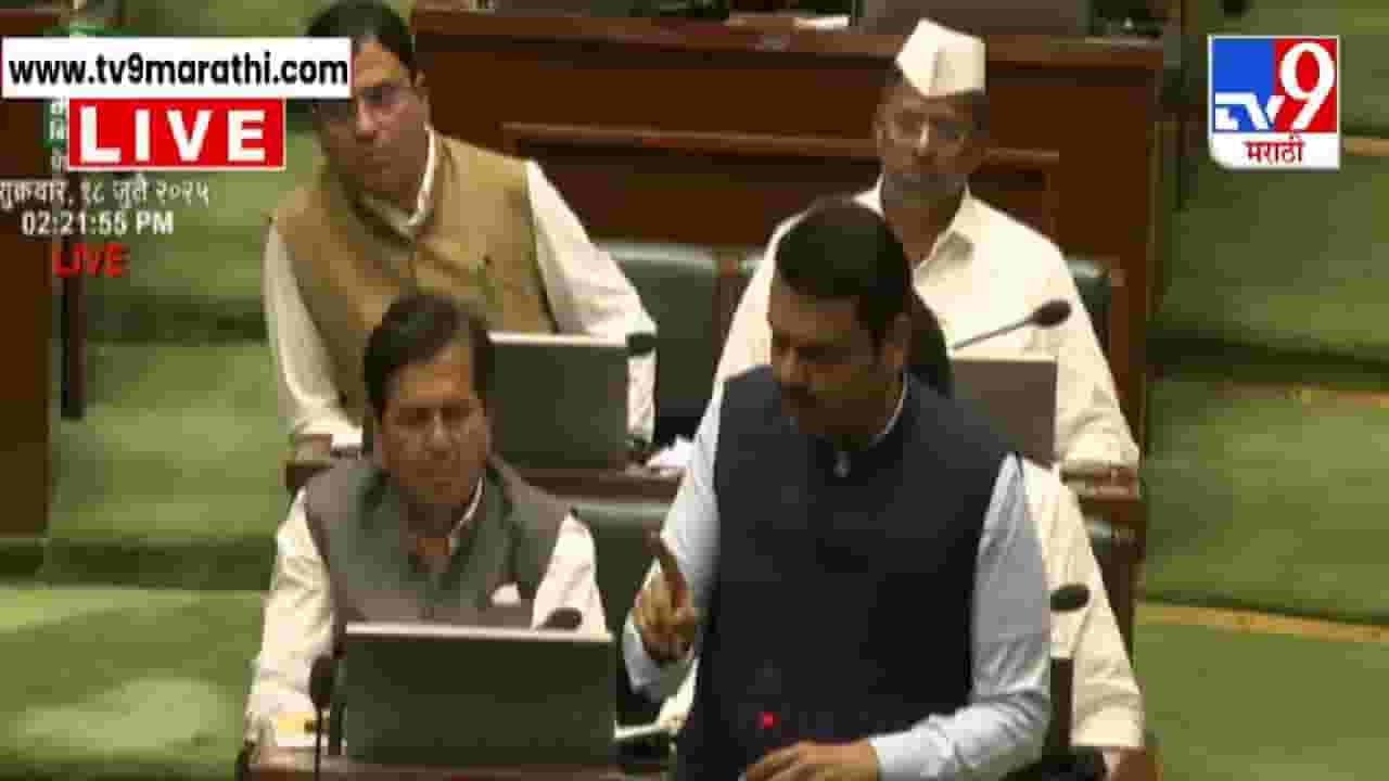 Devendra Fadnavis :  सगळे आमदार माजले, शिव्या फक्त पडळकरला नाही तर... फडणवीसांनी भर सभागृहात कोणाला फटकारलं?