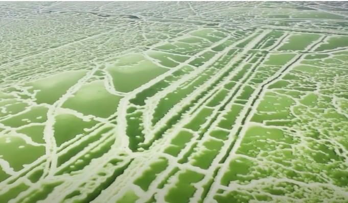 ही जागा दिसायला फारच सुंदर आहे. अनेकजण ही जागा पाहण्यासाठी दुरून येतात. चीनमध्ये याला चेरहान सॉल्ट लेक असे म्हणतात. चीनच्या दाव्यानुसार हे त्यांच्या देशातील नैसर्गिक मीठ देणारे सर्वांत मोठे सरोवर आहे. (फोटो सौजन्य- New China TV यूट्यूब चॅनेल)