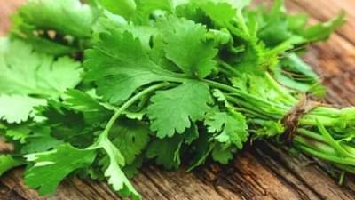 महिनाभर दररोज रात्री प्या कोथिंबीरच्या पानांचे पाणी, आरोग्याशी संबंधित या 5 समस्या होतील दूर
