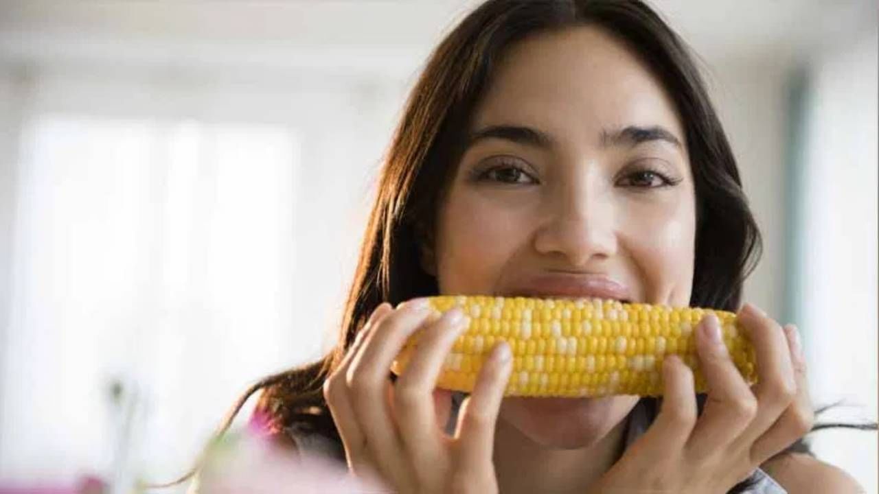 पावसाळ्यात मक्याचे सेवन नक्की करा, आरोग्यास मिळतील 'हे' 5 मोठे फायदे पावसाळ्यात मक्याचे सेवन नक्की करा, आरोग्यास मिळतील 'हे' 5 मोठे फायदे