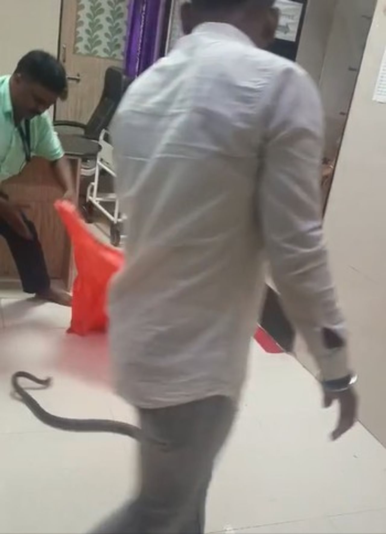 धाराशिव : साप पाहिला की सगळेच घाबरतात. कारण सापाचा दंश झाला की आपला मृत्यू होऊ शकतो, अशी भीत प्रत्येकालाच वाटते. दरम्यान, आता धाराशिवच्या महिला जिल्हा रुग्णालयातून एक धक्कादायक प्रकार समोर आला आहे.