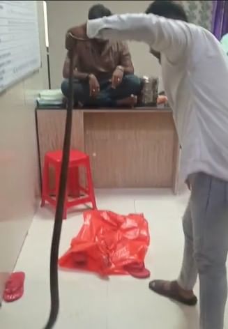 येथे धाराशिवच्या महिला रुग्णालयात साप शिरला आहे. या घटनेचा व्हिडीओ सध्या सगळीकडेच व्हायरल झाला असून आश्चर्य व्यक्त केले जात आहे.