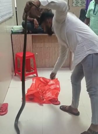 रुग्णालयात अचानक साप शिरल्याने रुग्णांमध्ये भीतीचे वातावरण पहायला मिळाले. विशेष म्हणजे याआधी चार ते पाच वेळा या रुग्णालयात साप आढळल्याची घटना घडली आहे.