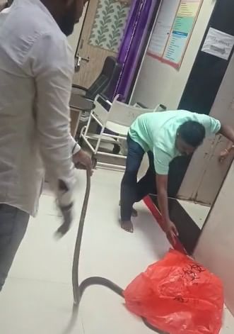 त्यामुळेही या रुग्णालयात उपचार घेण्याआधी इथे आढळणाऱ्या सापांबद्दल विचारलं जात आहे. रुग्णालयात अनेक रुग्णांवर उपचार सुरू असताना साप शिरल्याने एकच गोंधळ उडाला होता.