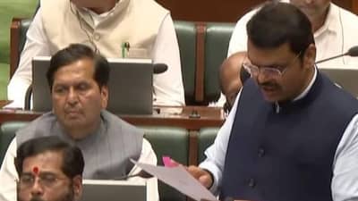 Explainer : आंदोलनांना आळा की नक्षलवादी संघटनांना चाप? काय आहे जनसुरक्षा विधेयक? परिणाम काय होणार?