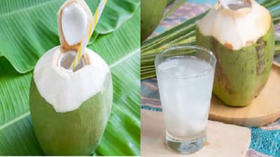नारळ पाणी प्यायल्यामुळे तुमच्या पोटाचं आरोग्य राहिल निरोगी जाणून घ्या फायदे