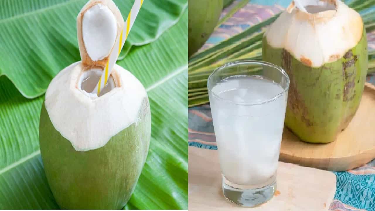 नारळ पाणी प्यायल्यामुळे तुमच्या पोटाचं आरोग्य राहिल निरोगी जाणून घ्या फायदे