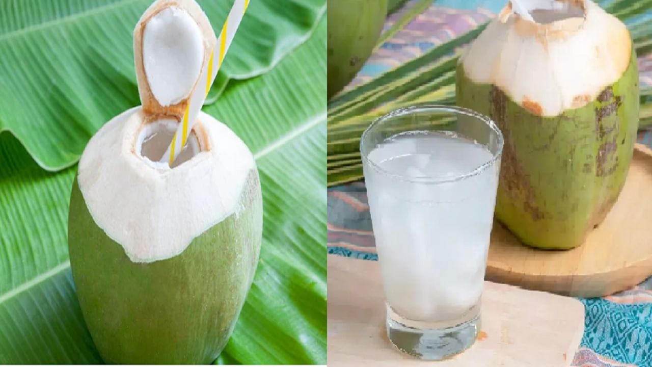 नारळ पाणी प्यायल्यामुळे तुमच्या पोटाचं आरोग्य राहिल निरोगी जाणून घ्या फायदे