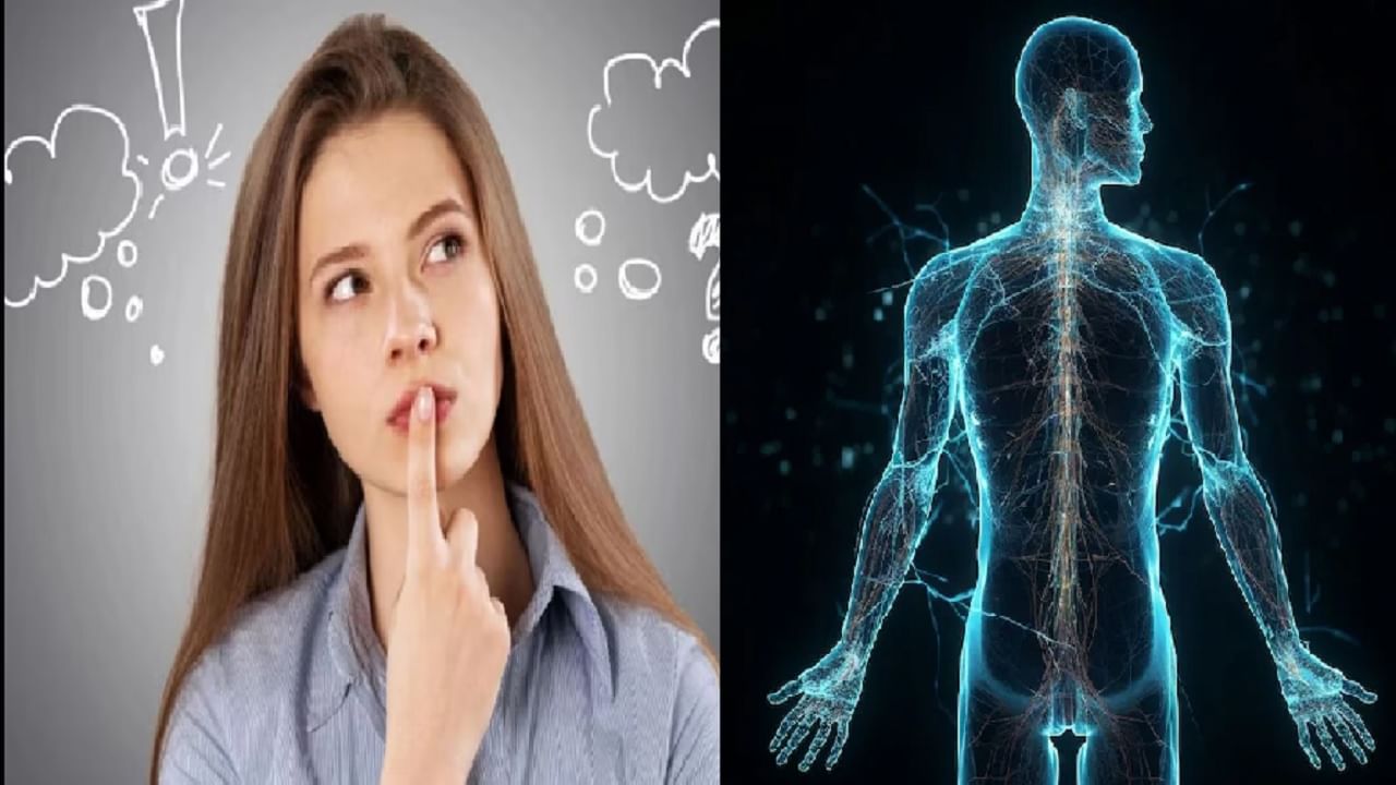 आपल्या शरीराचा 'हा' भाग दर 2 महिन्यांनी आकार बदलतो, 99% लोकांना माहित नसेल