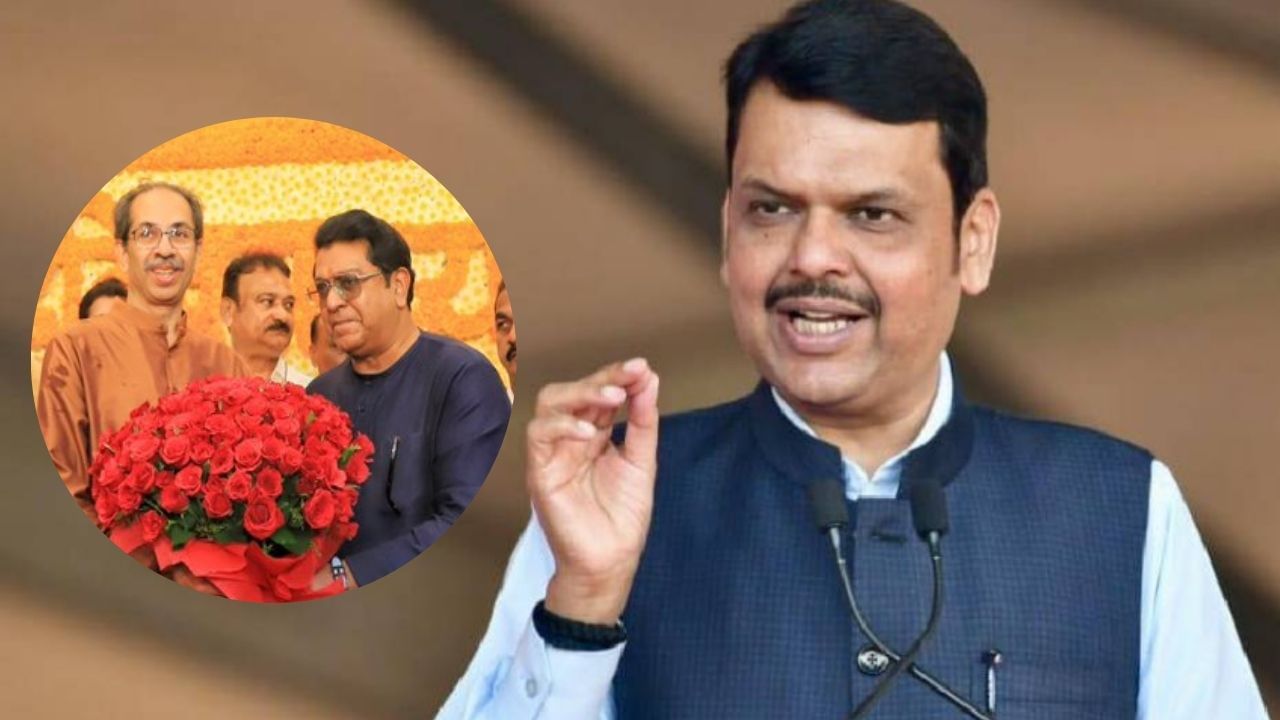 राज आणि उद्धव ठाकरेंच्या भेटीवर देवेंद्र फडणवीसांचे मोठं विधान, नेमकं काय म्हणाले ? वाचा... राज आणि उद्धव ठाकरेंच्या भेटीवर देवेंद्र फडणवीसांचे मोठं विधान, नेमकं काय म्हणाले ? वाचा...